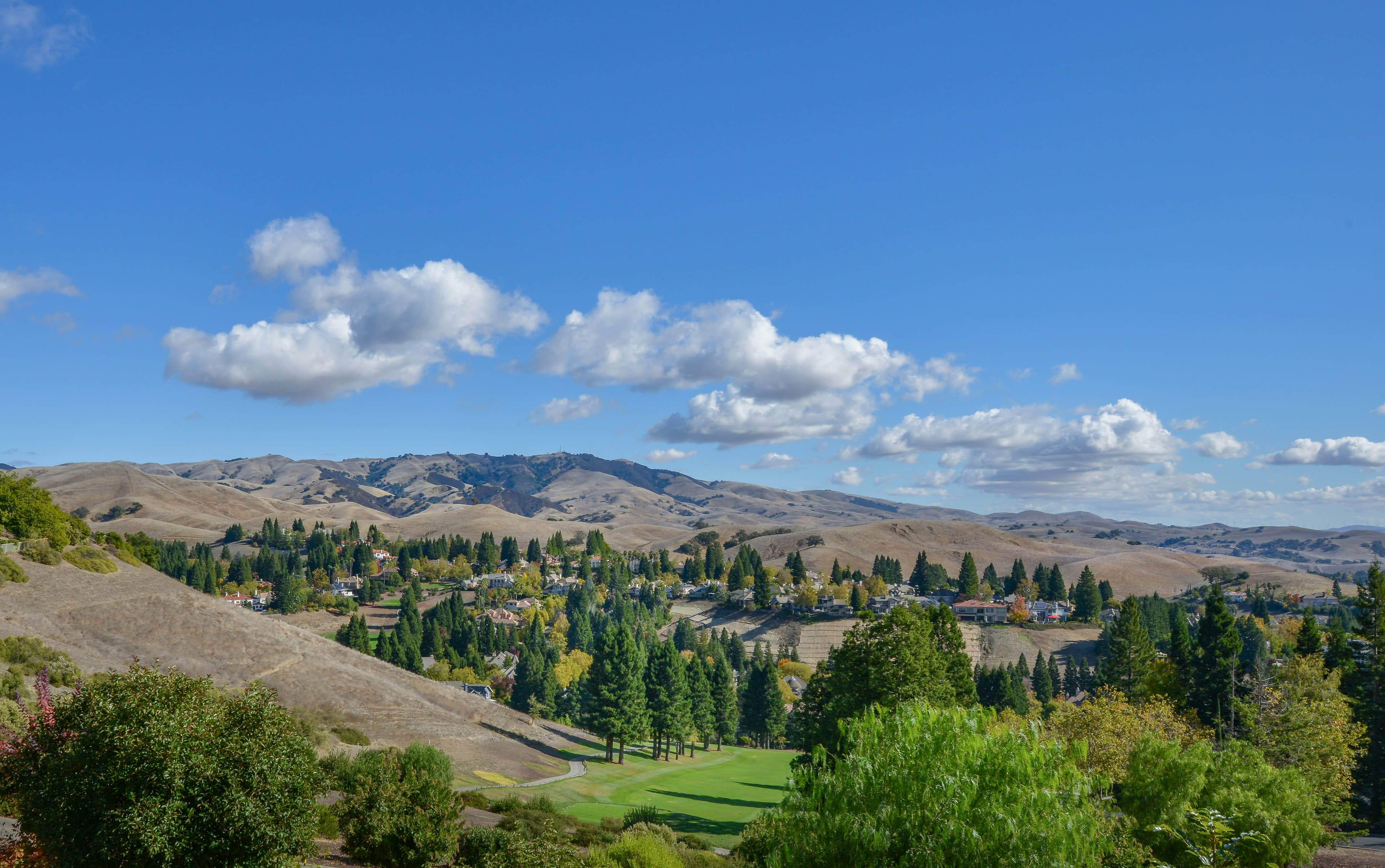 Pacific Coastal Logo